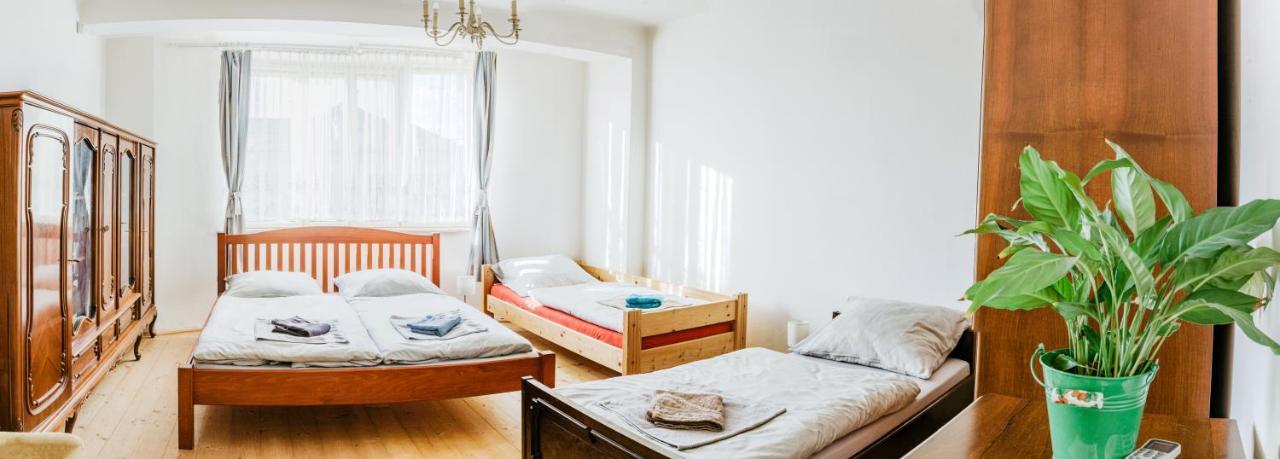 U Nas Ve Vile Guest House Cejc Екстериор снимка